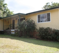 capalaba-sunflower-1